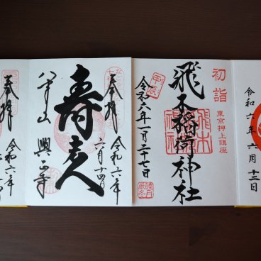 Selection of various goshuin seals brushed on an accordion-style goshuincho 2