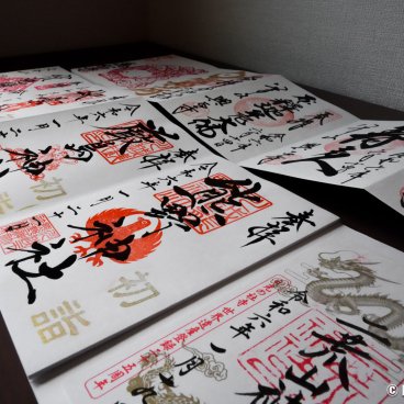 Selection of goshuin seals collected at temples and shrines