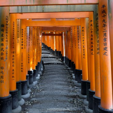 Kyoto, Torii gates tunnel at Fushimi Inari Taisha shrine