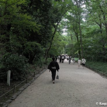 Tadasu no Mori (Kyoto), Pathway in the forest in summer