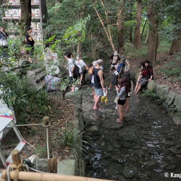 Tadasu no Mori (Kyoto), Mitarashi-sai ritual in the river crossing the forest in summer