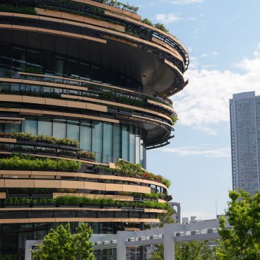 MoN Takanawa (Tokyo), Outside view of the museum and its wood and glass façade