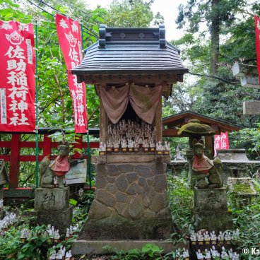 Kamakura, Small pavilion and fox statues at Sasuke Inari-jinja shrine