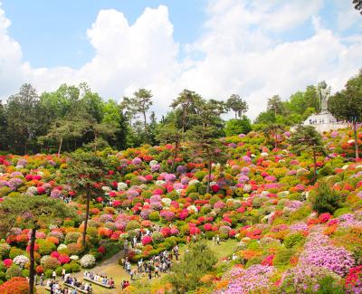 Travel in Japan