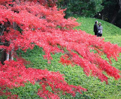 Travel in Japan