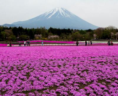 Travel in Japan