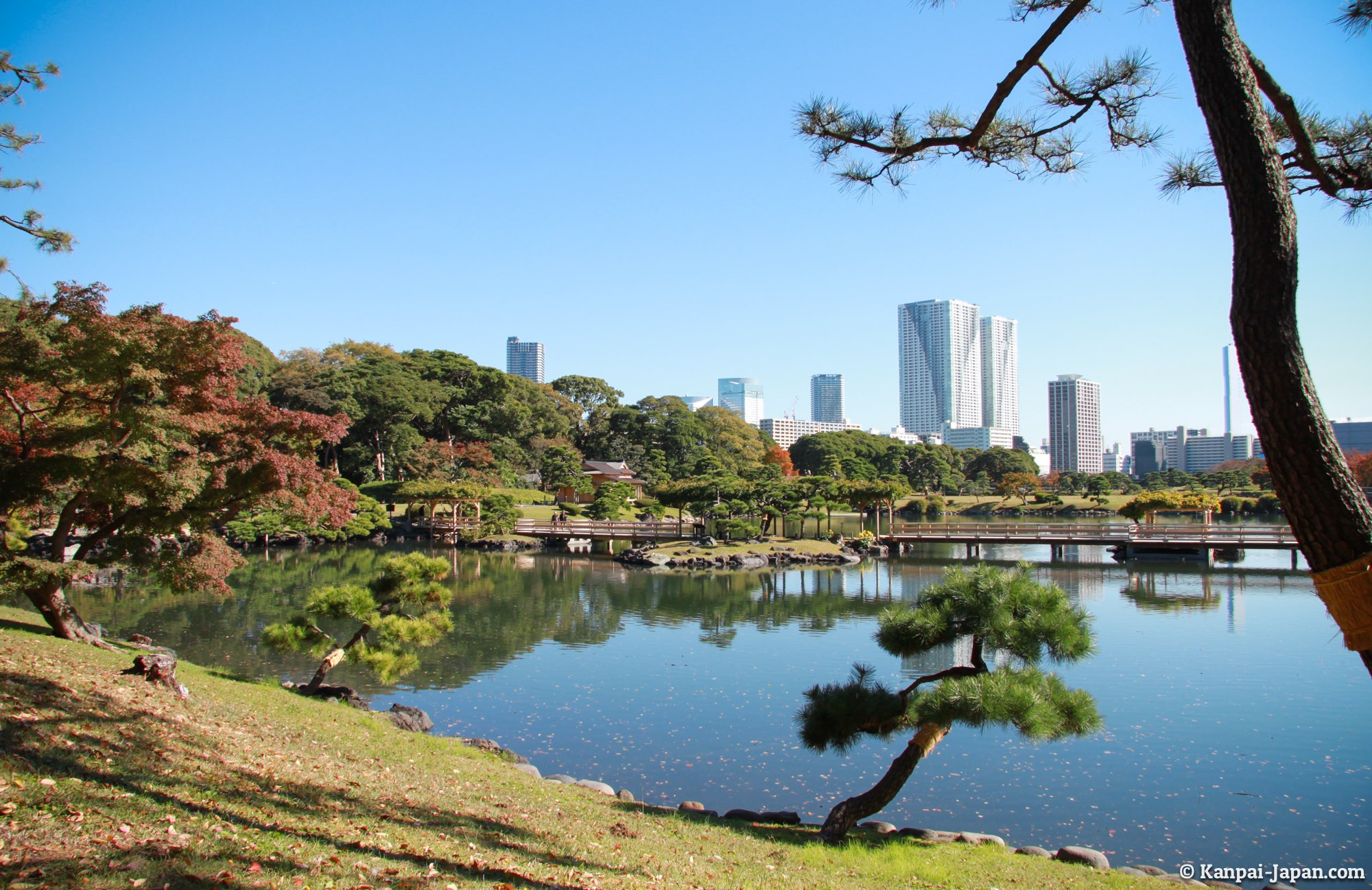 Hamarikyu - The Japanese garden between Tokyo buildings
