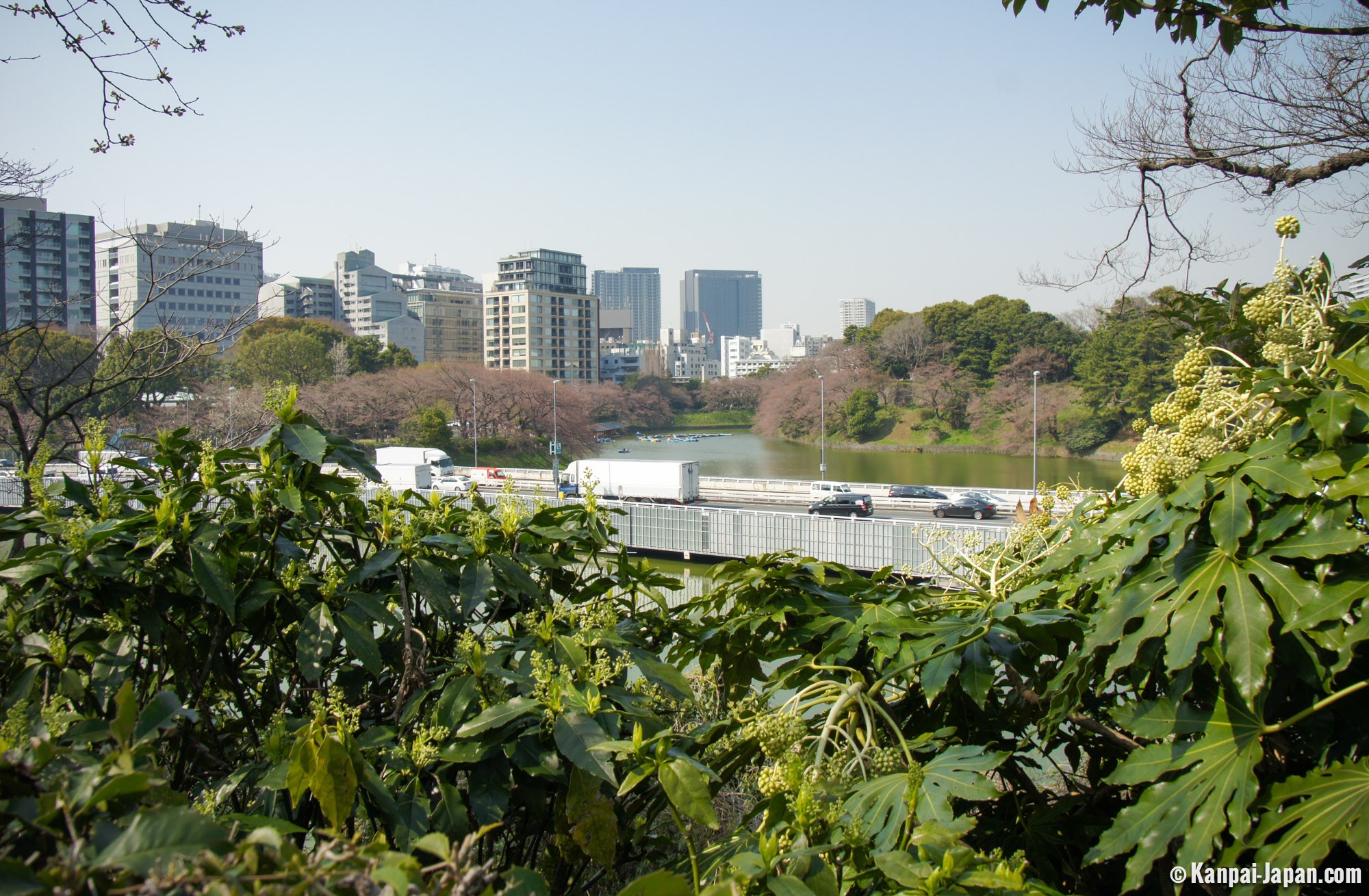 chiyoda-tokyo-s-heart