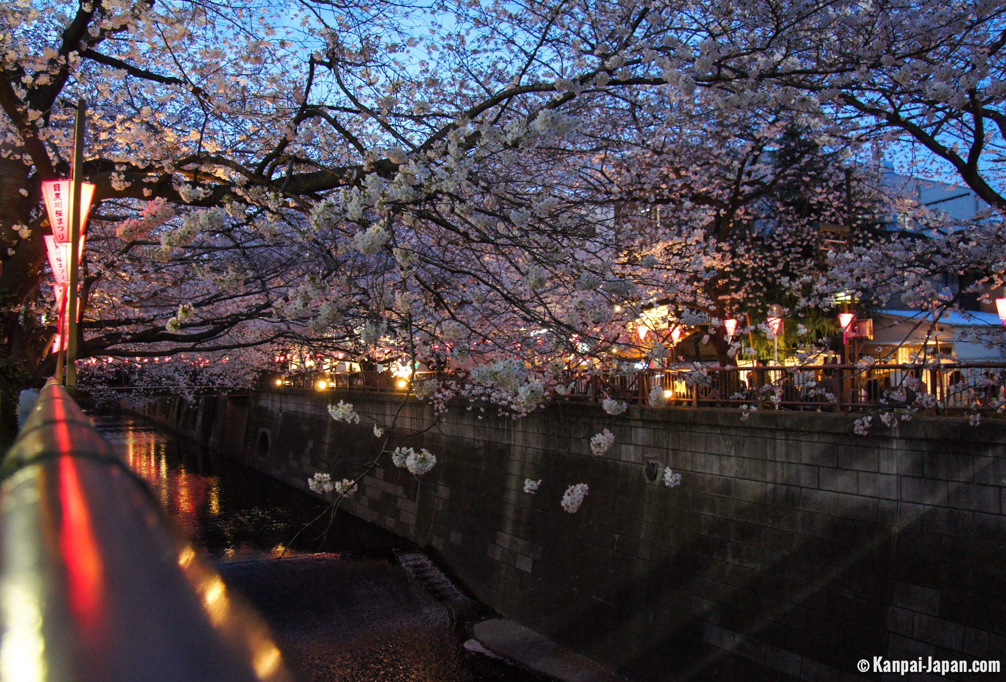 Meguro-gawa - The sakura river in Tokyo
