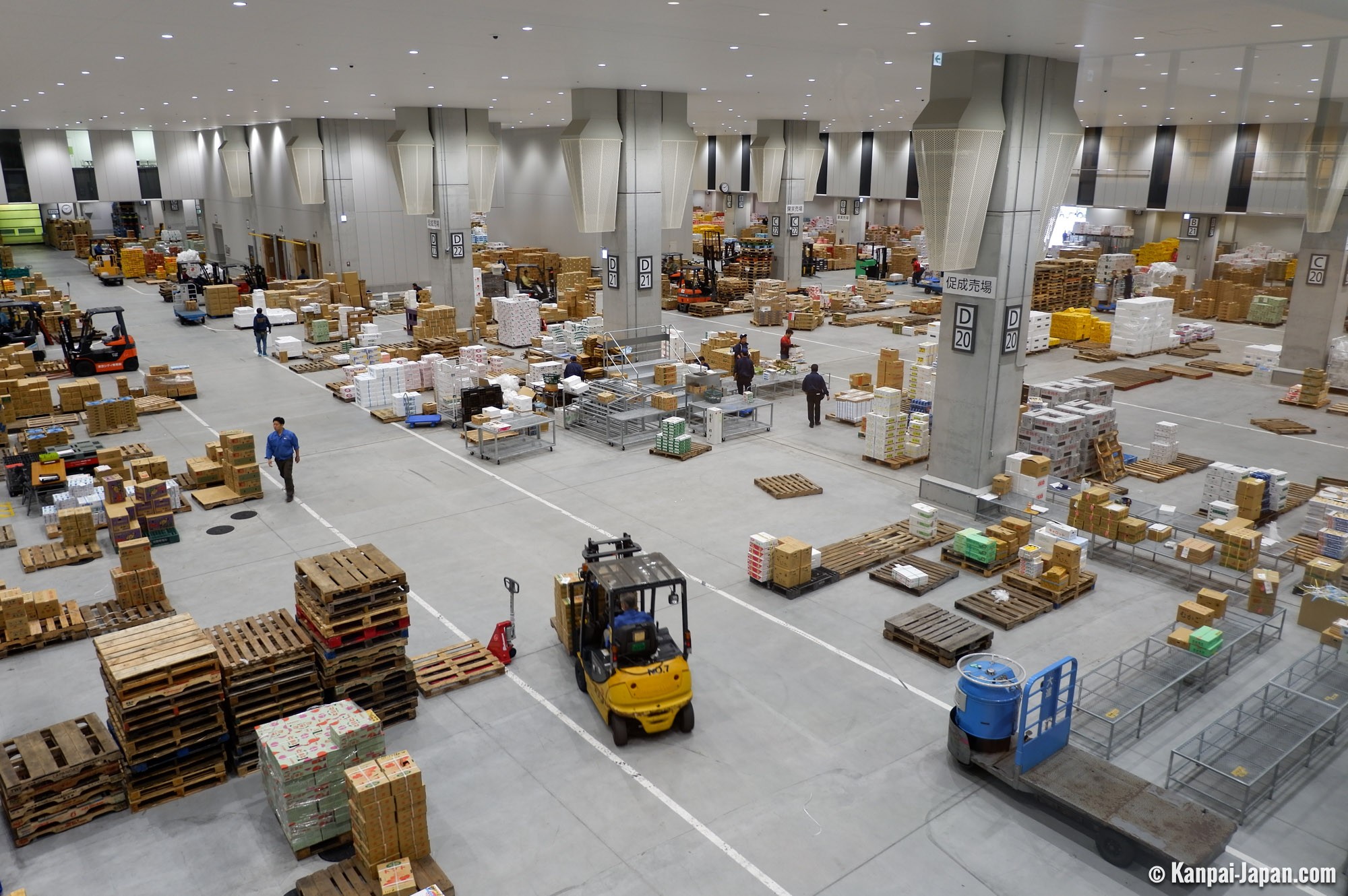 Toyosu 🐟 Tokyo's New Fish Market