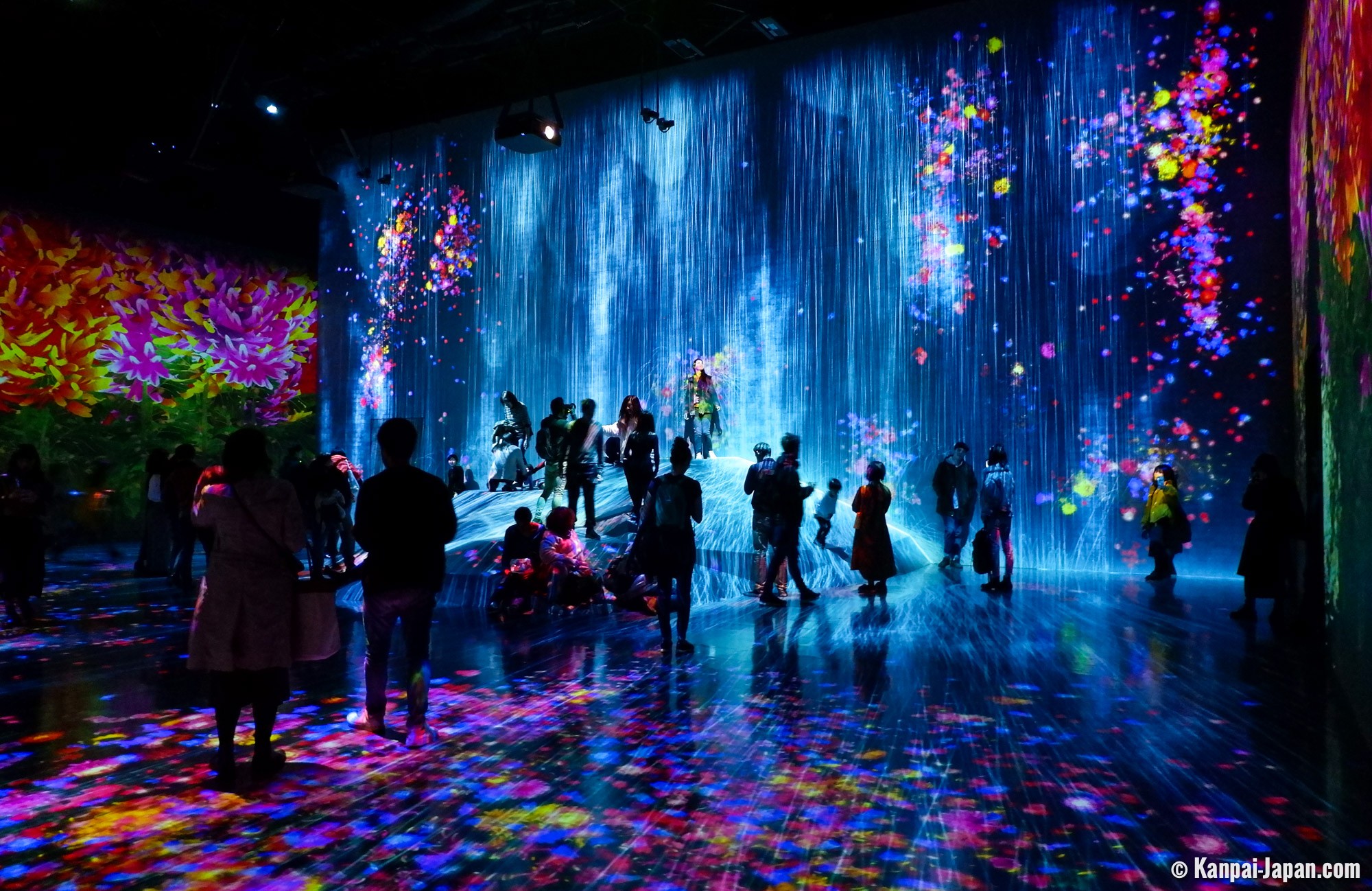 teamLab Borderless - Flower Forest