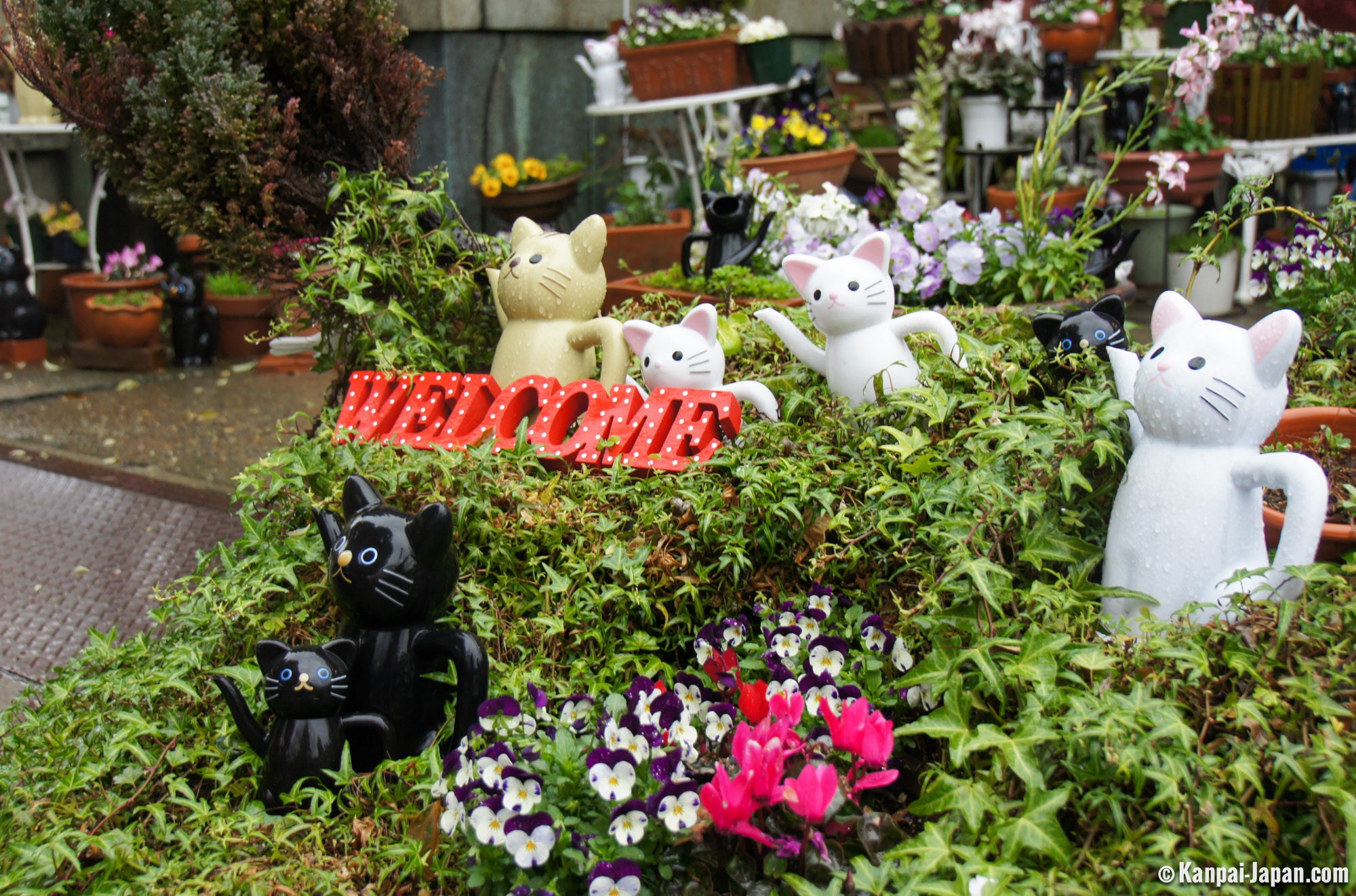 Imado Jinja A Small Shrine For Soulmates And Cat Souls Imado Jinja A Small Shrine For Soulmates And Cat Souls