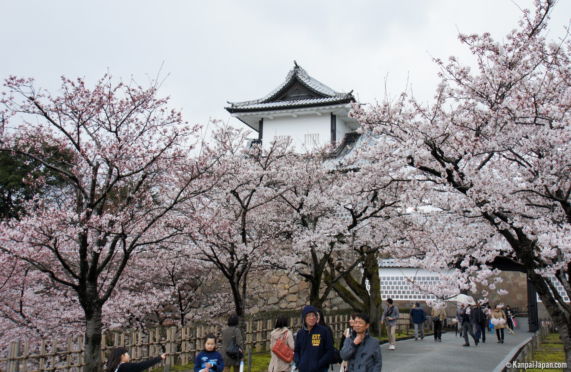 Kanazawa Castle The Park Adorned With Sakura