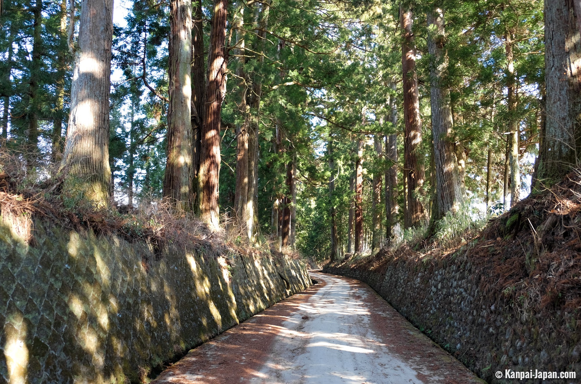 Suginamiki Park - The Japanese Cedar Avenue in Nikko
