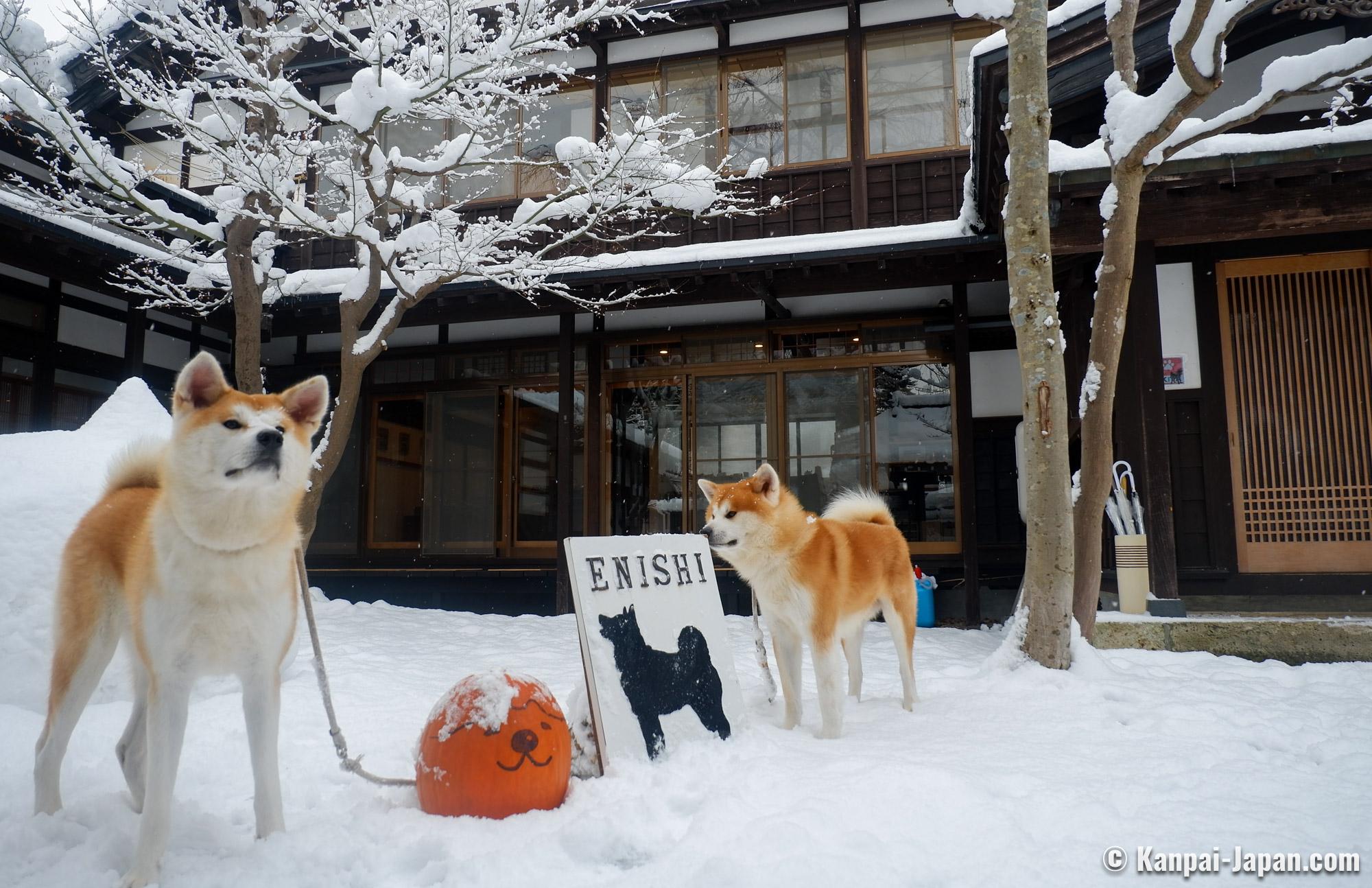 Akita house deals