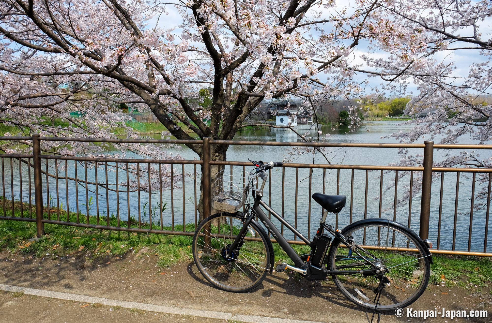 Bike Rental in Japan Sustainable Transport to Visit the Archipelago