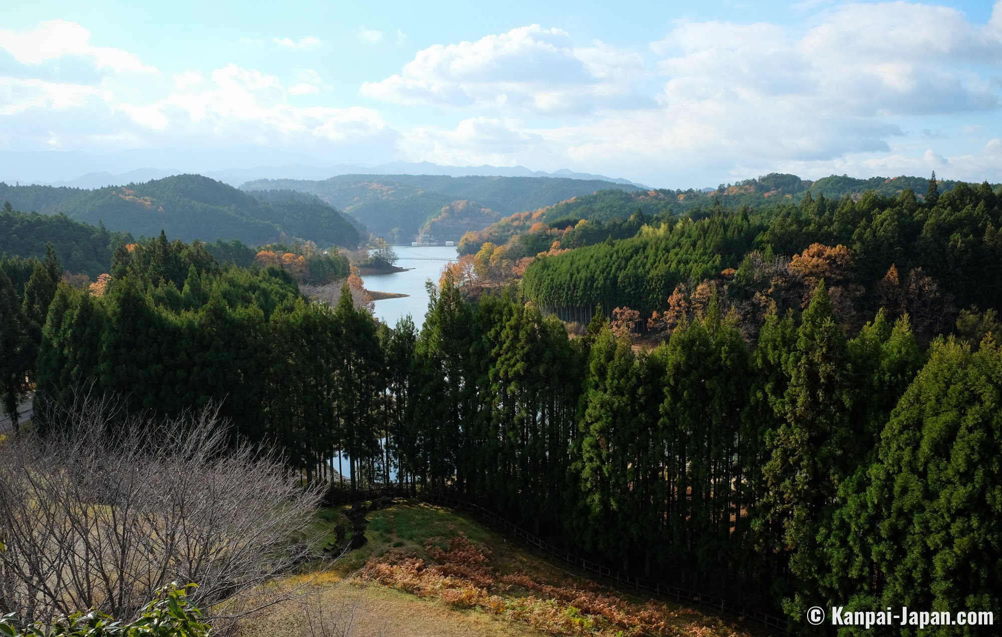 Yoshino Forest Therapy - Shinrin-yoku Experience in Nara