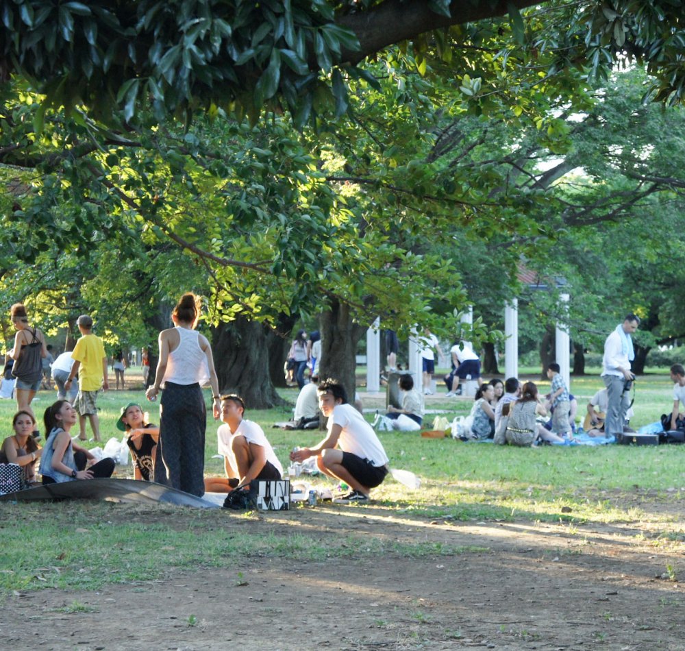 Yoyogi Park in Tokyo, People enjoying the shade of trees and pond in summer