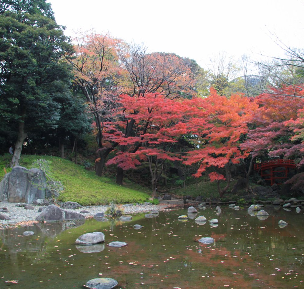 Koishikawa Korakuen (Tokyo) in autumn Koishikawa Korakuen (Tokyo) in autumn