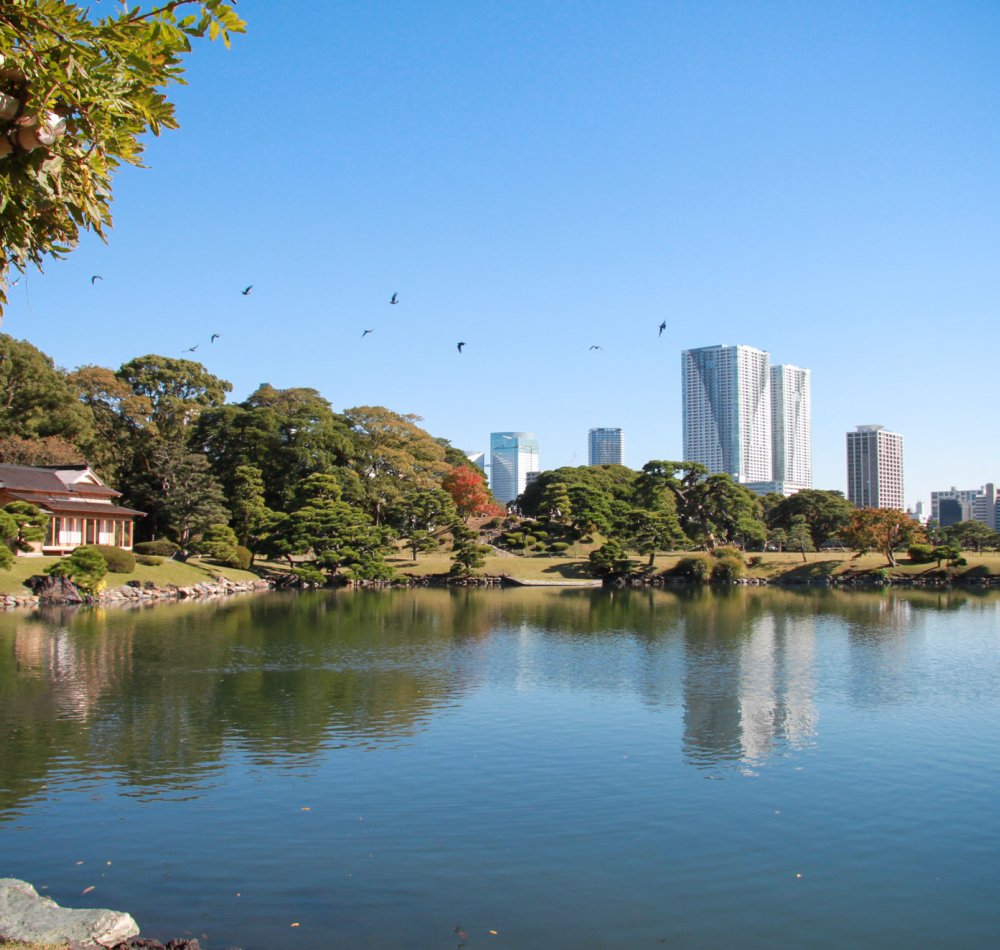 Hamarikyu Garden (Tokyo), Traditional Japanese garden and modern buildings in the background