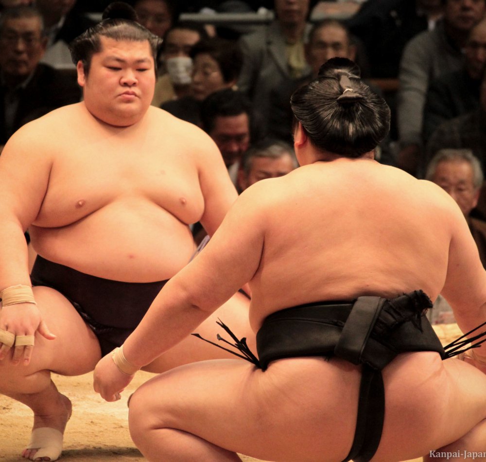 Sumo tournament in Osaka, Wrestlers and referee on the dohyo ring before the bout