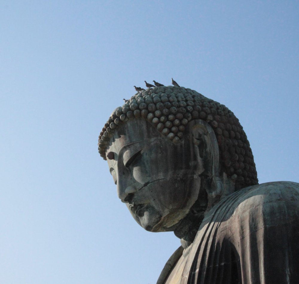 Kotoku-in (Kamakura), The Great Buddha bronze statue