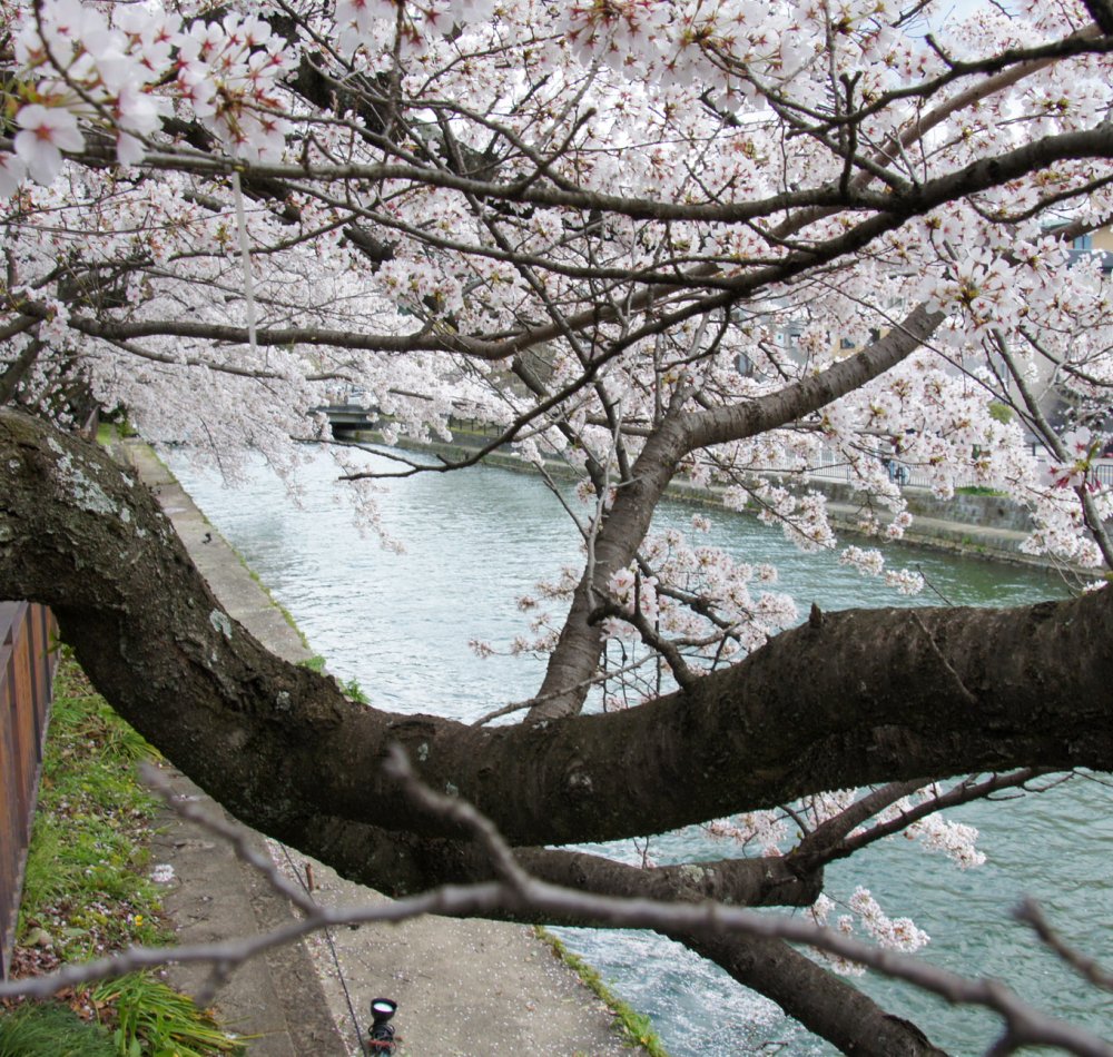 Okazaki Canal