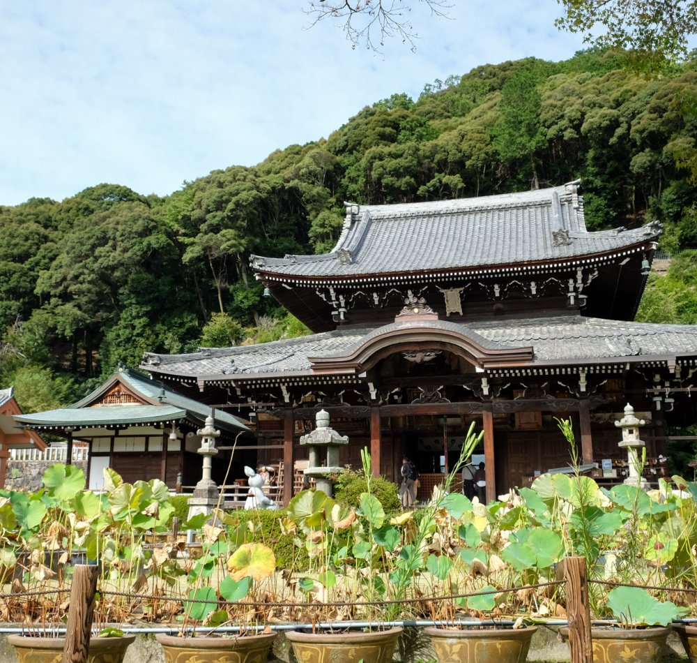 Mimuroto-ji, Main Hall Hondo
