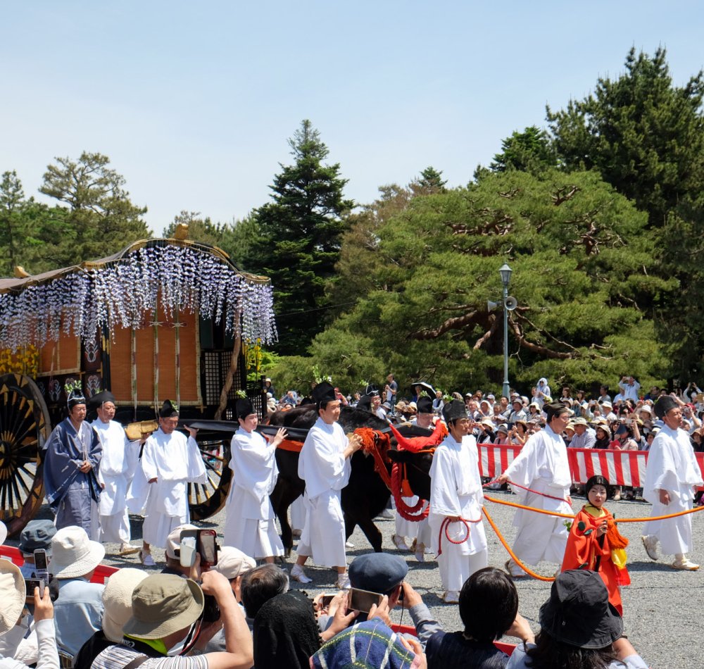 Aoi Matsuri (Kyoto), Saio in Shimogamo Shrine