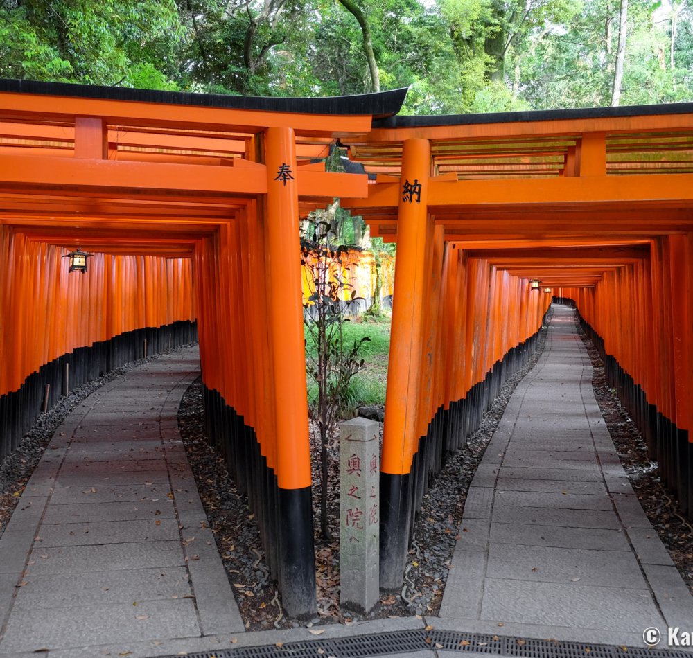 Fushimi Inari Taisha (Kyoto), The torii gate tunnel in winter