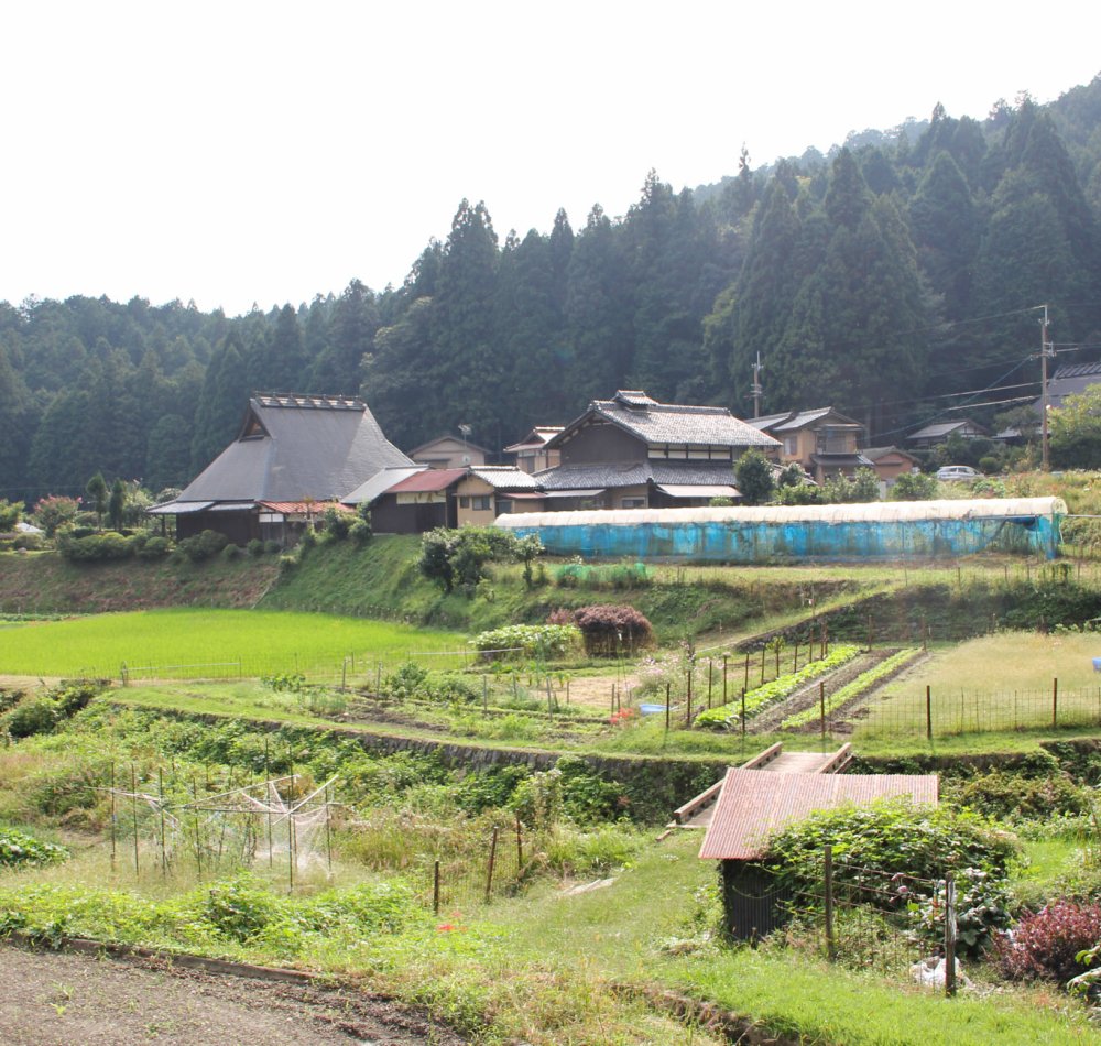 Ohara, Raigo-in