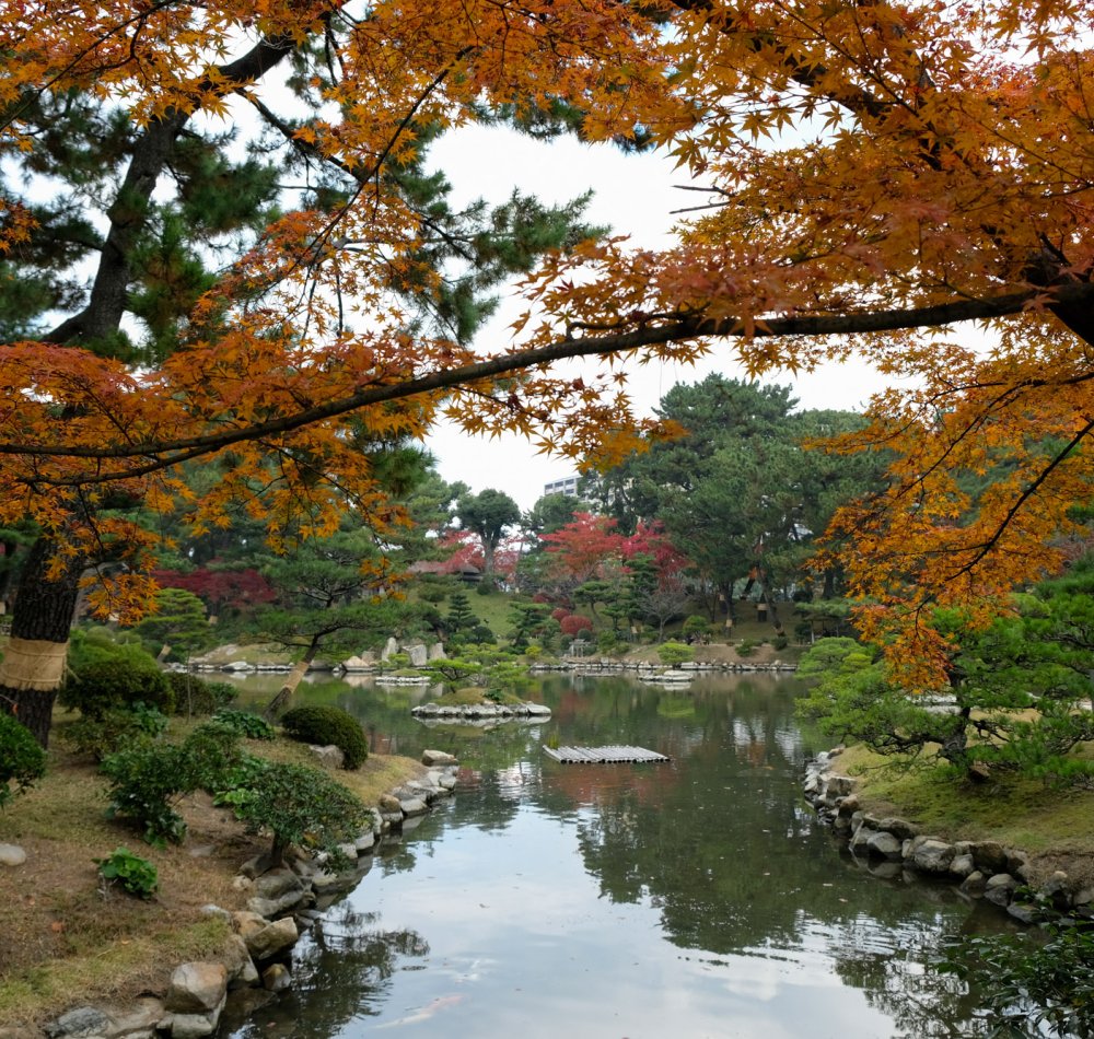Shukkei-en Garden (Hiroshima)