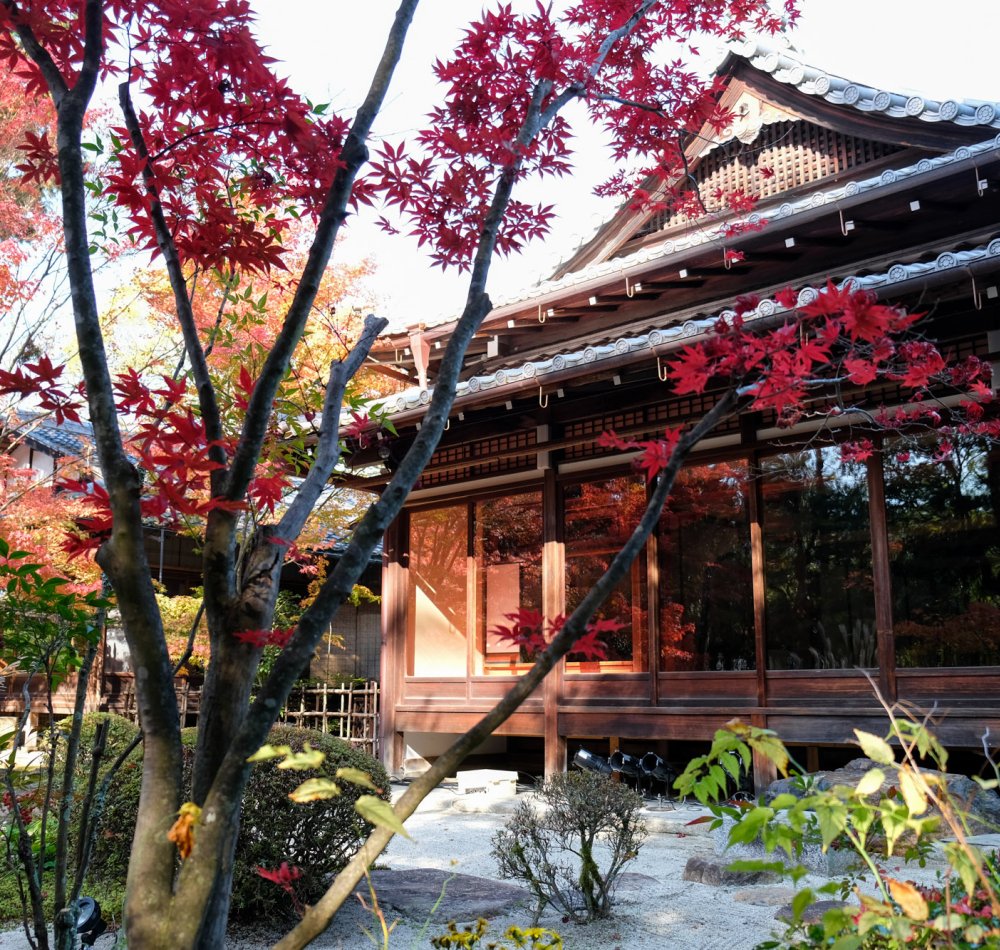 Tenju-an (Kyoto), View on the garden in autumn