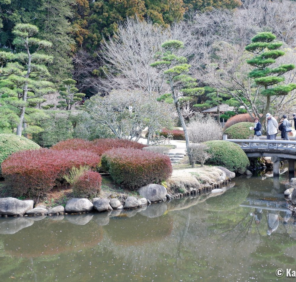 Kairaku-en (Mito), Plum Trees Park