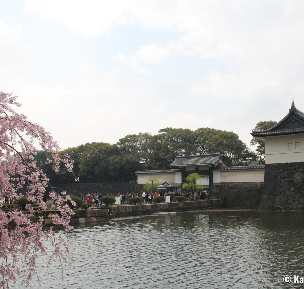 Kokyo Higashi Gyoen (Tokyo), Pond and stone lantern in Ninomaru Garden