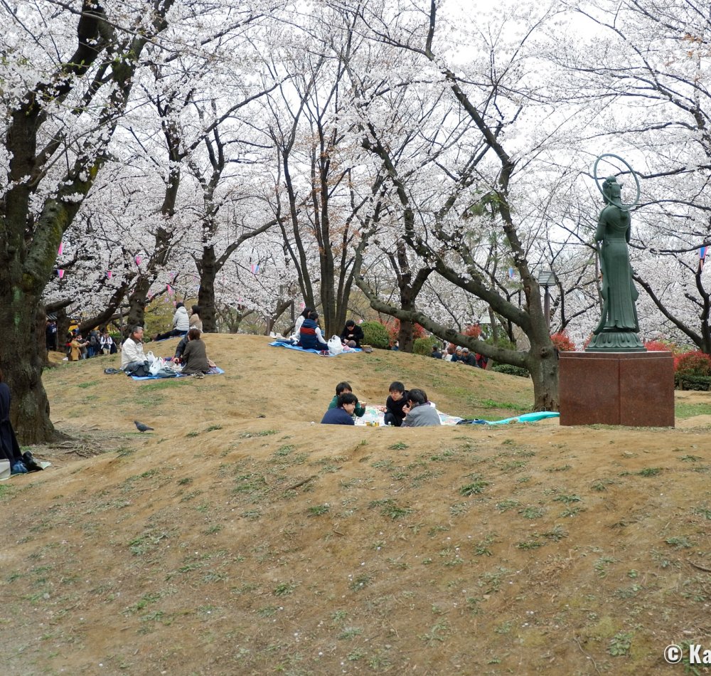 Asukayama Park, Group of young Japanese partying under the cherry trees