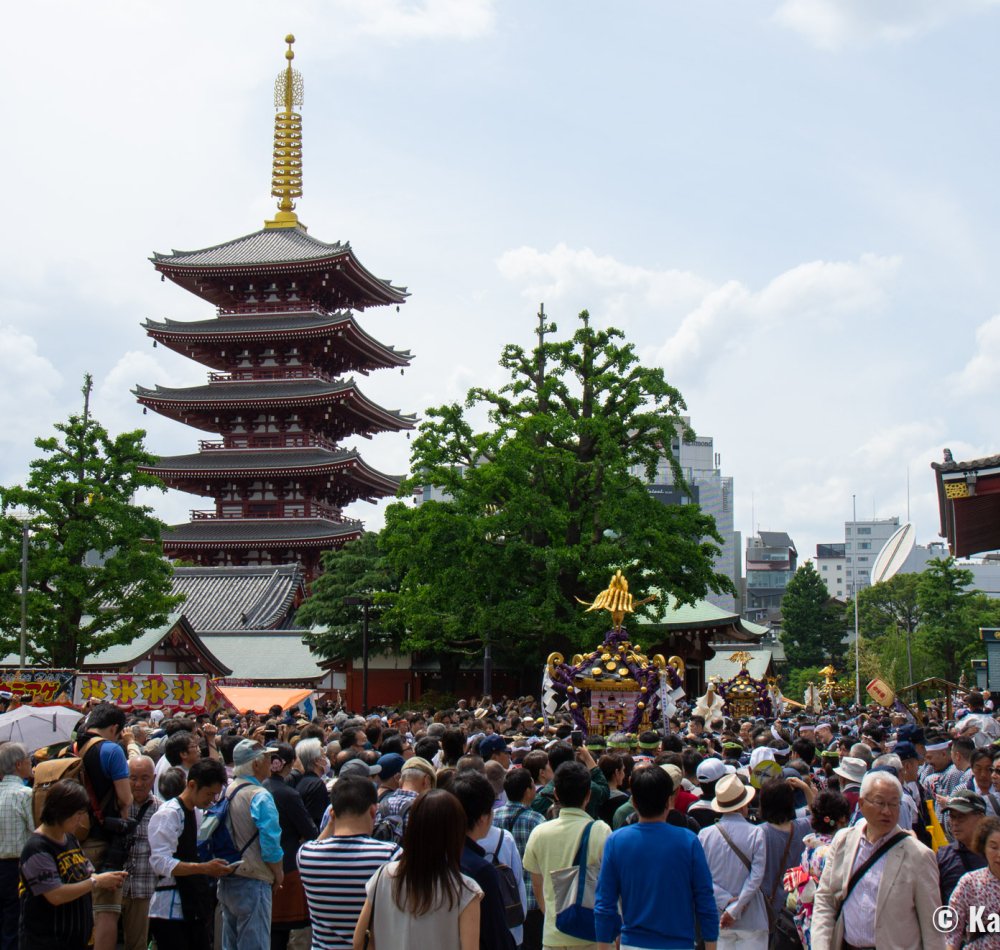 Sanja Matsuri (Tokyo), Mikoshi procession in Senso-ji's grounds Sanja Matsuri (Tokyo), Mikoshi procession in Senso-ji's grounds