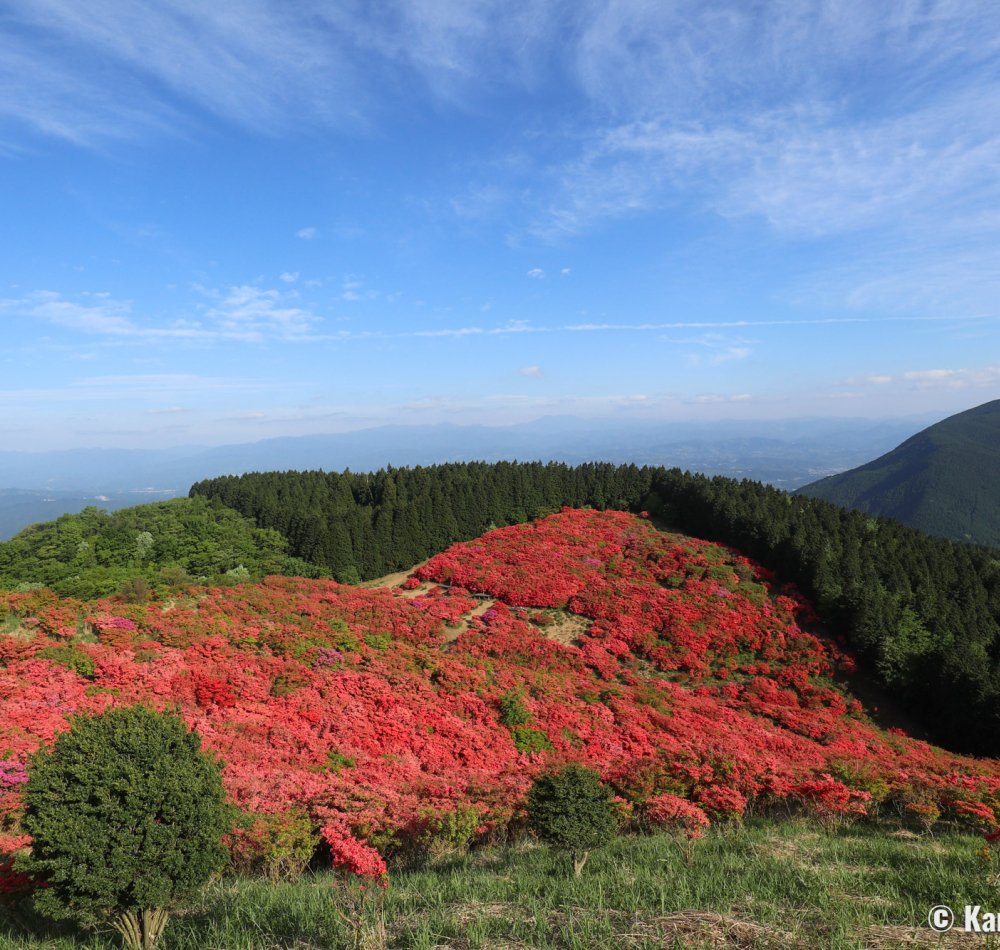 Mount Yamato-Katsuragi-san (Nara), View on the azaleas