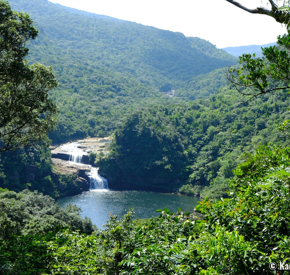 Iriomote (Yaeyama - Okinawa), Cruise on Urauchi River