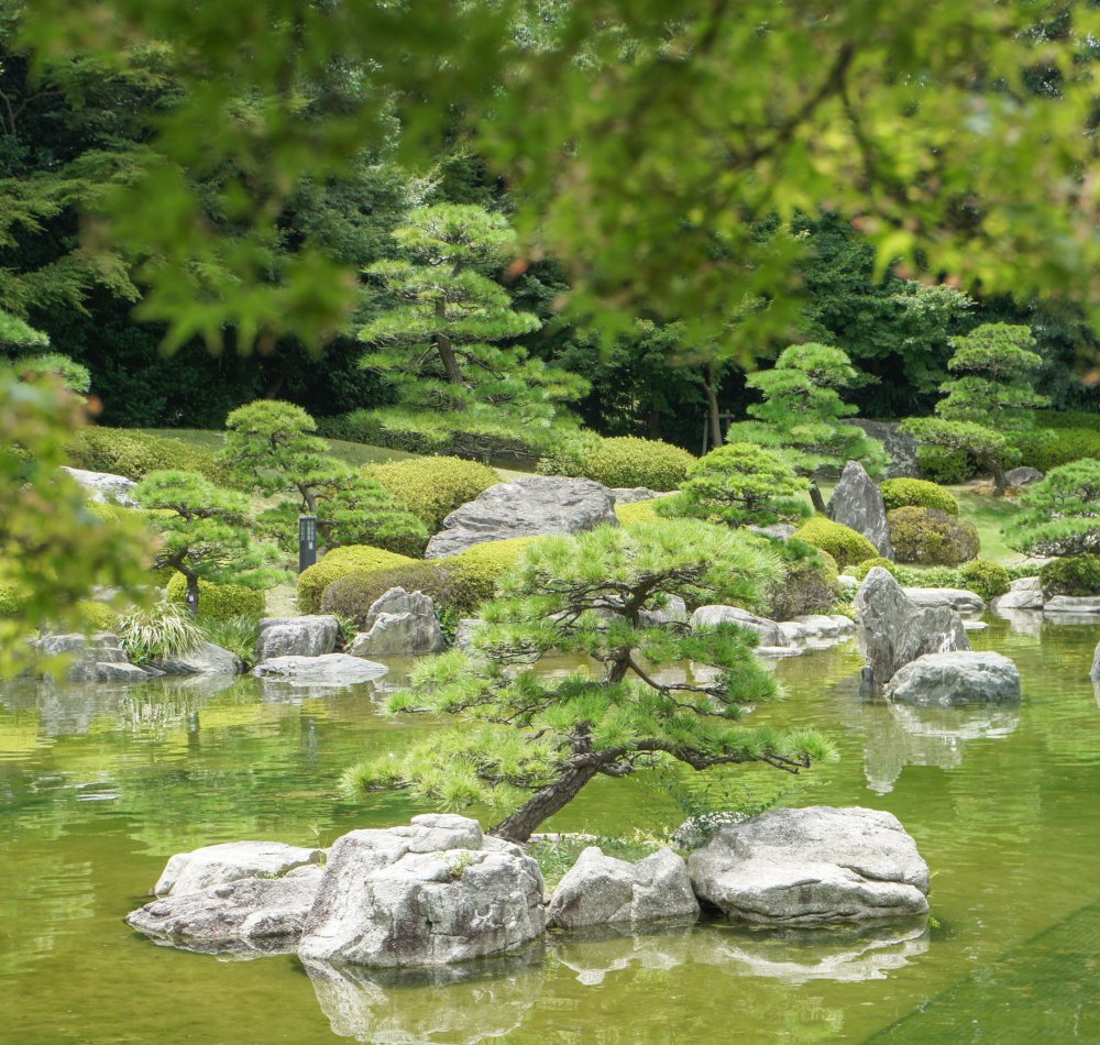 Ohori Park (Fukuoka), View on the lake and on the city