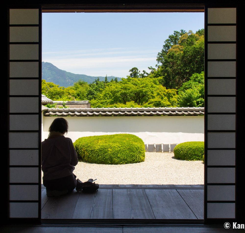 Shoden-ji (Kyoto), View on the dry garden
