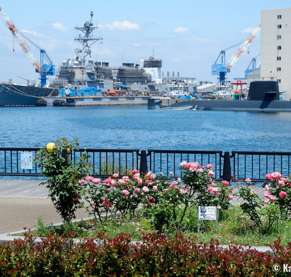 Yokosuka, Verny Park in spring