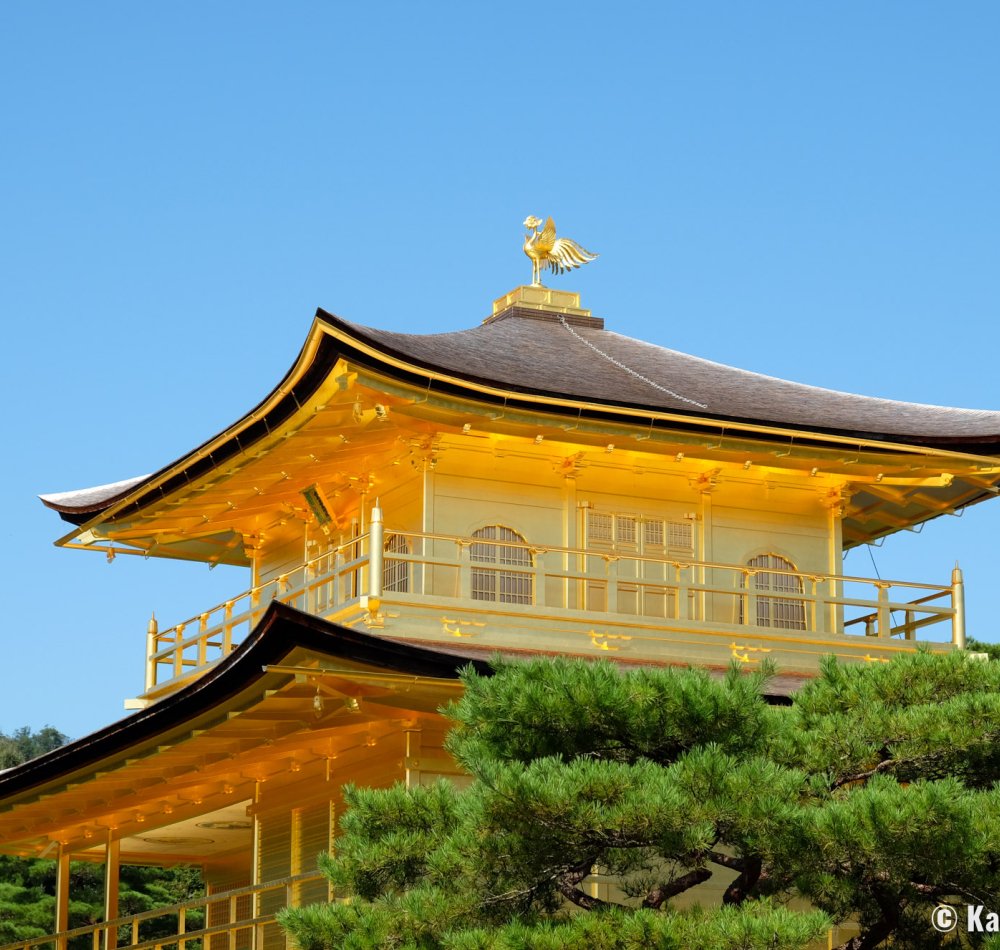 Kinkaku-ji (Kyoto), View of the Golden Pavilion in October 2021 (after its golden roof's renovation)