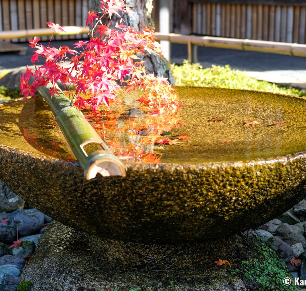 Enko-ji, View on Honryutei garden