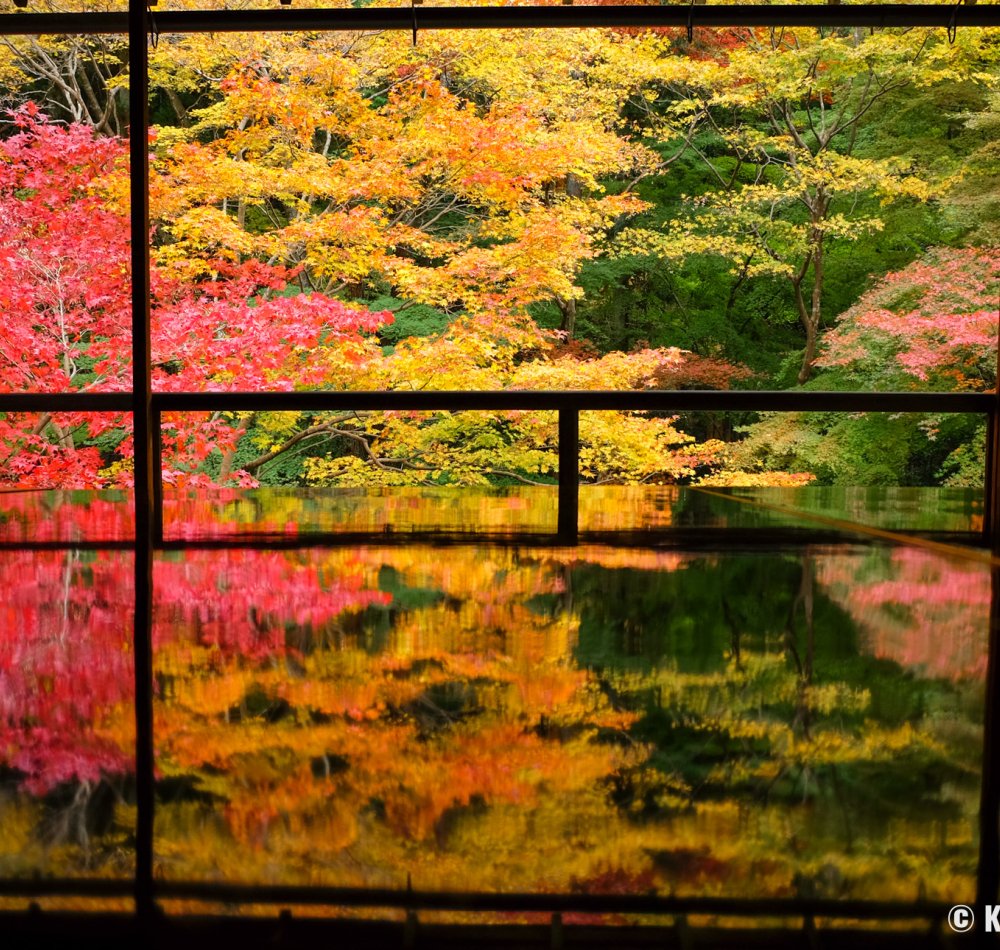 Ruriko-in, Garyo-no-niwa garden in autumn