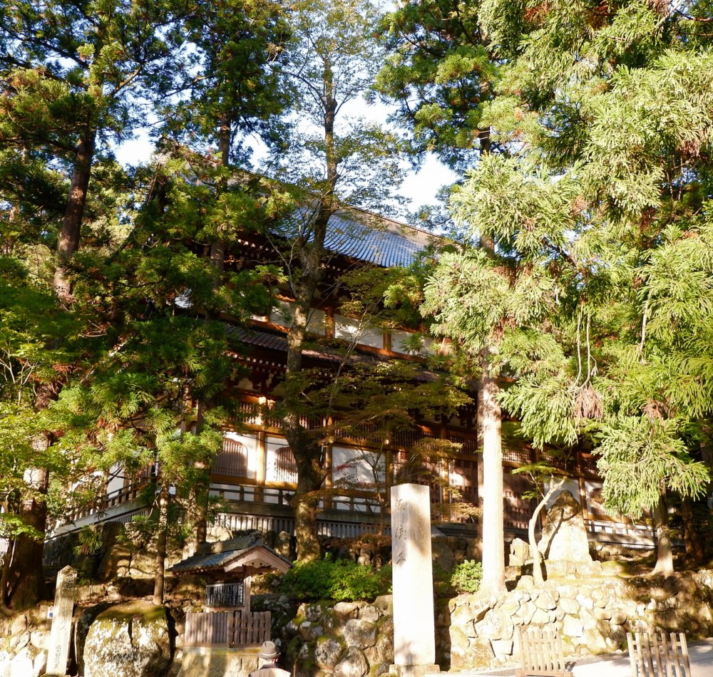 Eihei-ji (Fukui), View on the temple's roofs and the forest
