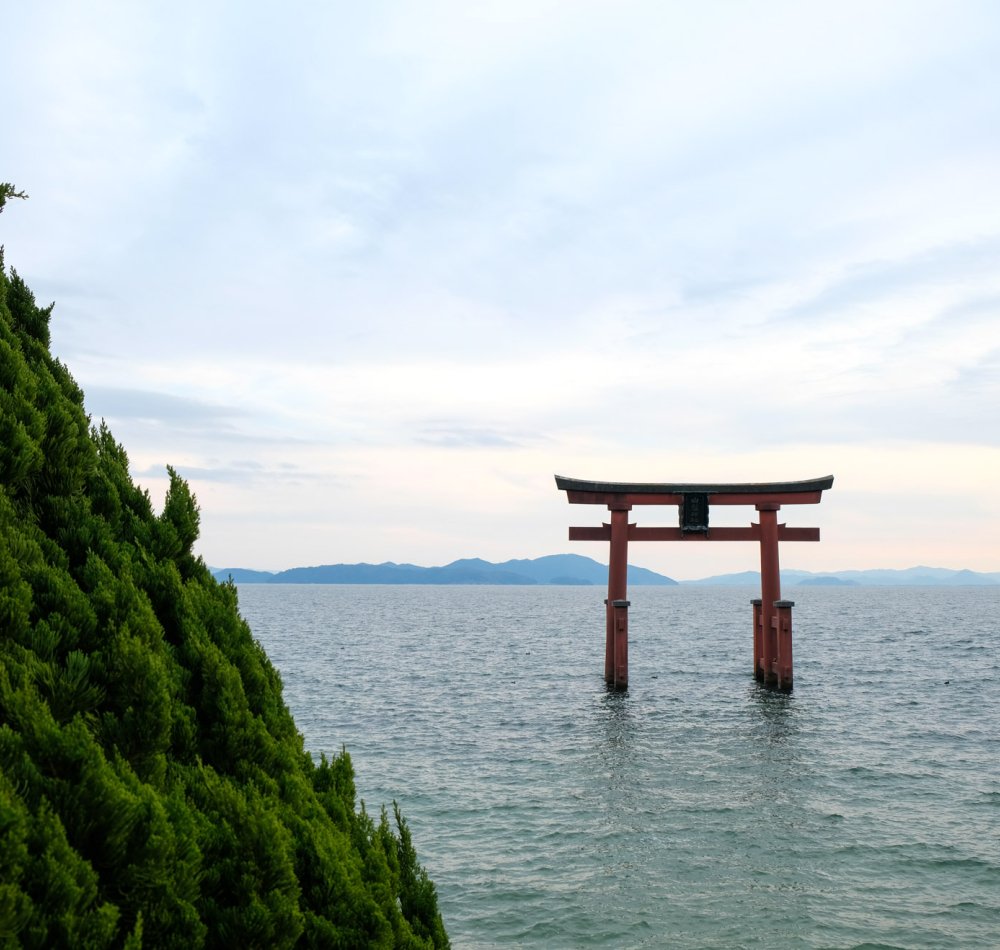 Shirahige-jinja, Floating torii on Lake Biwa