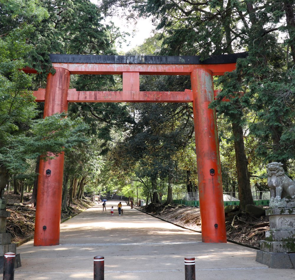 Tamukeyama Hachiman-gu, Main pavilion of the shrine
