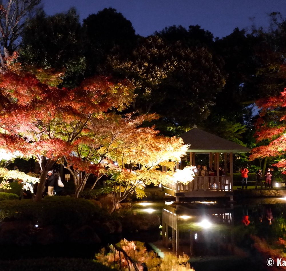 Otaguro Park (Tokyo), Night view on the pond of the Japanese garden in autumn