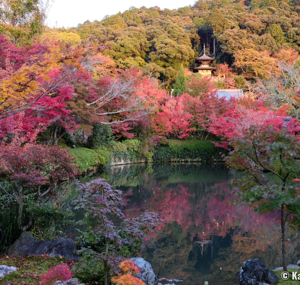 Eikan-do Temple (Kyoto), View on the pond and the momiji in autumn